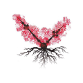 Tavera Rosado Garnacha