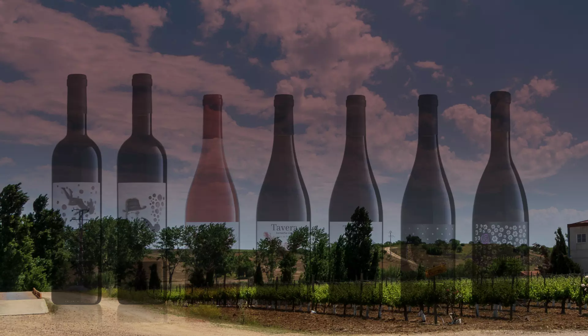 BodegasTavera-Inicio-slide3