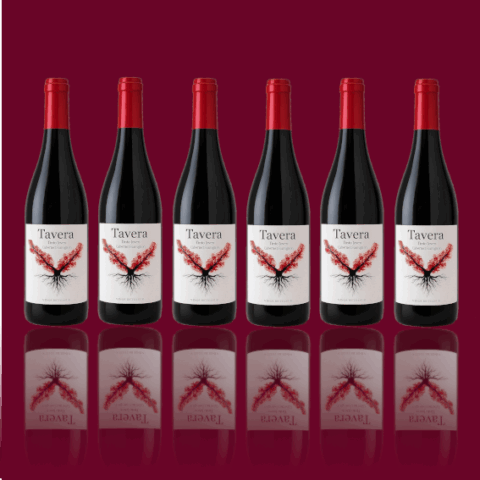 Tavera Syrah Joven 2024